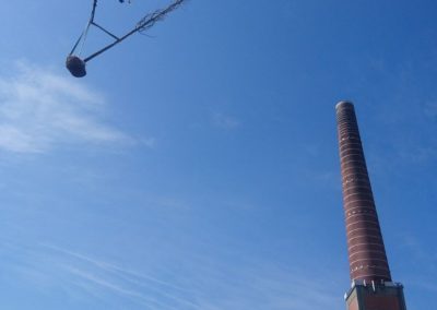 Aanleg van een daktuin: grote bomen op een daktuin plaatsen is geen eenvoudige klus, maar het effect die de boom zal hebben op de daktuin is dit meer dan waard.