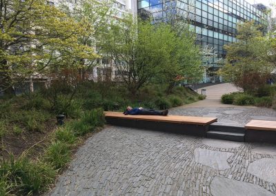 Leistenen verharding en meerstammige bomen - natuurlijke onderbegreoiing met zegge - Parijs - In Bloom