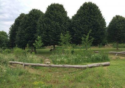 Natuurspeeltuin - boomstam - brug - weidebeplanting - In Bloom