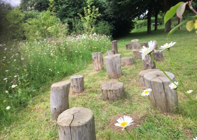 Natuurspeeltuin - boomstam - stap stronken - weidebeplanting - bosgoed - In Bloom