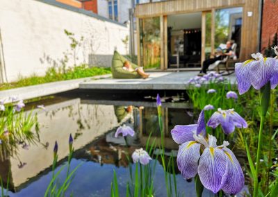 Dit betonnen terras zweeft boven de vijver. De vijverbeplanting bestaat uit een diverse gemeenschap, waarvan Irissen op dit tijdstip de show stelen. (In Bloom)