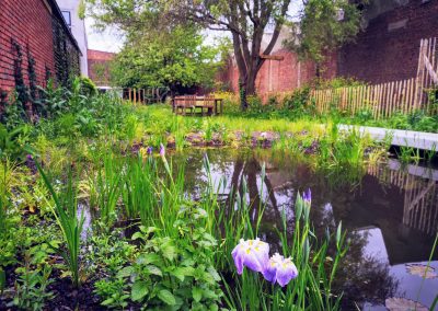 Naturalistische stadstuin met vijver, 5 maanden na aanleg (In Bloom)