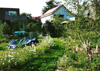 Naturalistische gezinstuin: wandelen tussen de bloemen - In Bloom